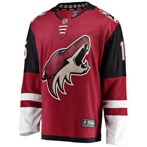 Brad Richardson Arizona Coyotes Player Swingman Jersey